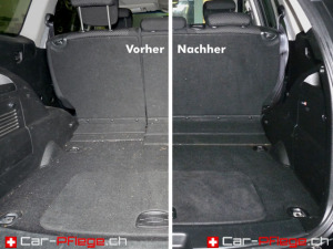 Fahrzeug Innenreinigung