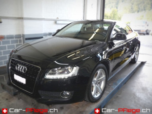 Autoreinigung am Zürichsee