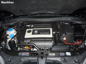 Motorreinigung, Unterbodenreinigung, Plastikpflege (Nachher)