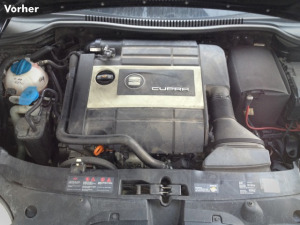 Motorreinigung, Unterbodenreinigung, Plastikpflege (Vorher)