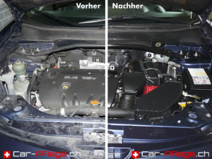 Motorreinigung
