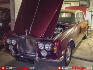 Autoreinigung vor Ort