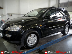 Ozonreinigung Luzern