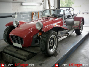 Professionelle Autoreinigung