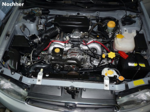 Motorreinigung, Unterbodenreinigung, Plastikpflege (Nachher)