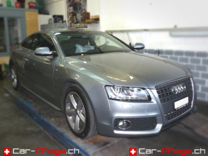 Wasserschade Innenreinigung